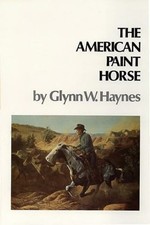 American paint horse gebraucht kaufen  Stuttgart