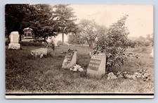 Vintage RPPC Nevada Iowa IA Znaczniki grobów cmentarzy Norris Family P7 na sprzedaż  Wysyłka do Poland