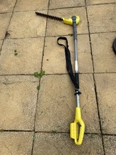 Challenge pole hedge for sale  LEICESTER