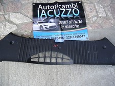 Plastica baule cofano usato  San Mauro Castelverde