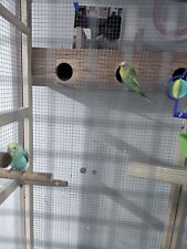 Bird cage wooden for sale  Reading