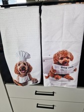 Golden doodle cockapoo for sale Golden doodle cockapoo for sale  ROCHESTER