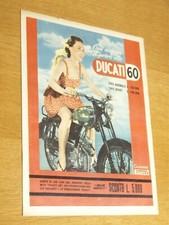 Ducati normale sport usato  San Marcello Piteglio
