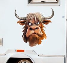 Grumpy highland cow for sale  RICHMOND