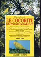 1999 cocorite pappagallini usato  San Benedetto del Tronto