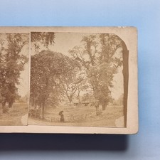 Nottingham stereoview c1880 for sale  TELFORD