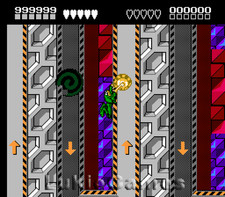 Battletoads - Raro NES Nintendo ótimo jogo Battle Toads, usado comprar usado Battletoads - Raro NES Nintendo ótimo jogo Battle Toads, usado comprar usado  Enviando para Brazil