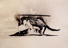 Nocturnal cat original d'occasion  Paris V