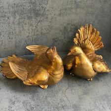 Rare kay finch for sale  Arcadia