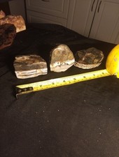 Beautiful striped rocks for sale  Weaverville