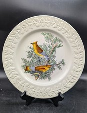 Vintage birds america for sale  New Britain