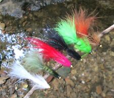 Gilchrist flygen. goldkopf usato  Spedire a Italy