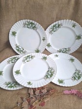 5xroyal albert trillium for sale 5xroyal albert trillium for sale  LOUGHBOROUGH