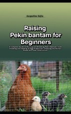 Raising pekin bantam d'occasion  Expédié en Belgium
