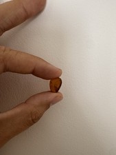 Dinosaur age amber for sale  BRIGHTON