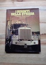 Bisonti della strada usato  Italia