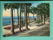 Sanremo eterna primavera usato Sanremo eterna primavera usato  Molfetta