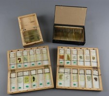 Group vintage petrological for sale  LIVINGSTON