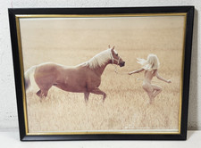 Pic art horse for sale  Erie