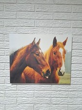 Horse wall art for sale  Westlake