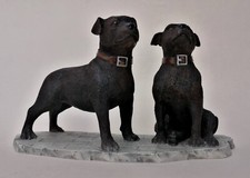 Leonardo staffie dog for sale  WARRINGTON