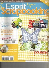 Esprit scrapbooking preparez d'occasion  Bray-sur-Somme