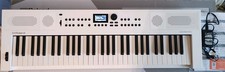 Roland keys weiß gebraucht kaufen  Berlin