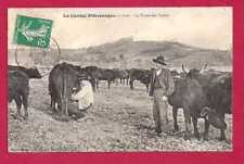 Cantal pittoresque traite d'occasion  Angers-