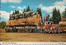Giant fir log for sale  Chesapeake