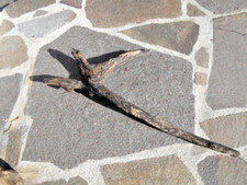 Dekorative skulptur schwemmhol gebraucht kaufen  Riedering