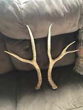 deer 3 antlers sets for sale  Bigfork