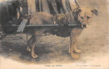 Cpa attelage chiens d'occasion  Claira