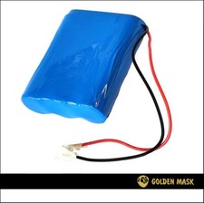 Batteria litio golden usato  Tortoreto