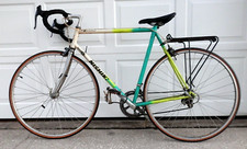 Rare nishiki international for sale  Palm Harbor