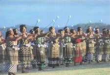 Nouvelle zelande waitangi d'occasion  France