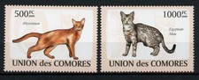 Cats domestic animals for sale  Round Top