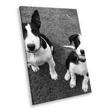 A194 black white for sale  STRABANE