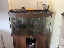 Juwel rio 180 for sale  BOSTON