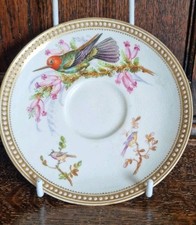 1875 royal worcester for sale  THATCHAM