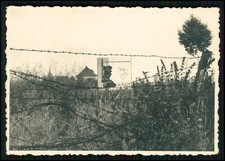 Foto plakat draht gebraucht kaufen  Bad Salzuflen