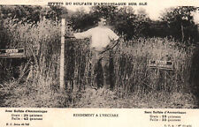 Old postcard advertising d'occasion  Expédié en Belgium