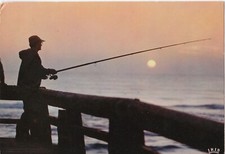 Pêche lancer côte d'occasion  Berlaimont
