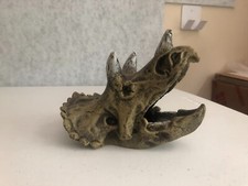 Triceratops skull decorative for sale  Leland