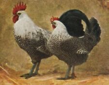 115 663 sammelbild gebraucht kaufen 115 663 sammelbild gebraucht kaufen  Prösen