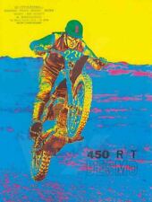 Depliant brochure ducati usato  Venegono Superiore