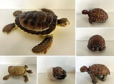 Schleich fremdserie aaa gebraucht kaufen  Herbrechtingen