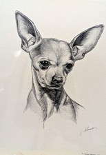 Portrait your chihuahua d'occasion  Expédié en Belgium