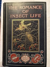 Romance insect life for sale  OXFORD