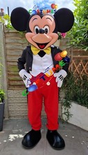 Hire mickey mouse for sale  CROYDON