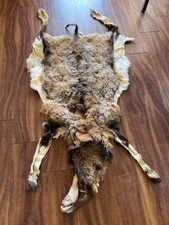 Taxidermy corsican sheep for sale  Avondale